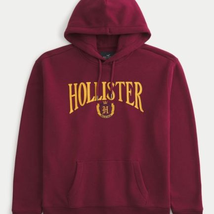 Hoodie Holgado Hollister